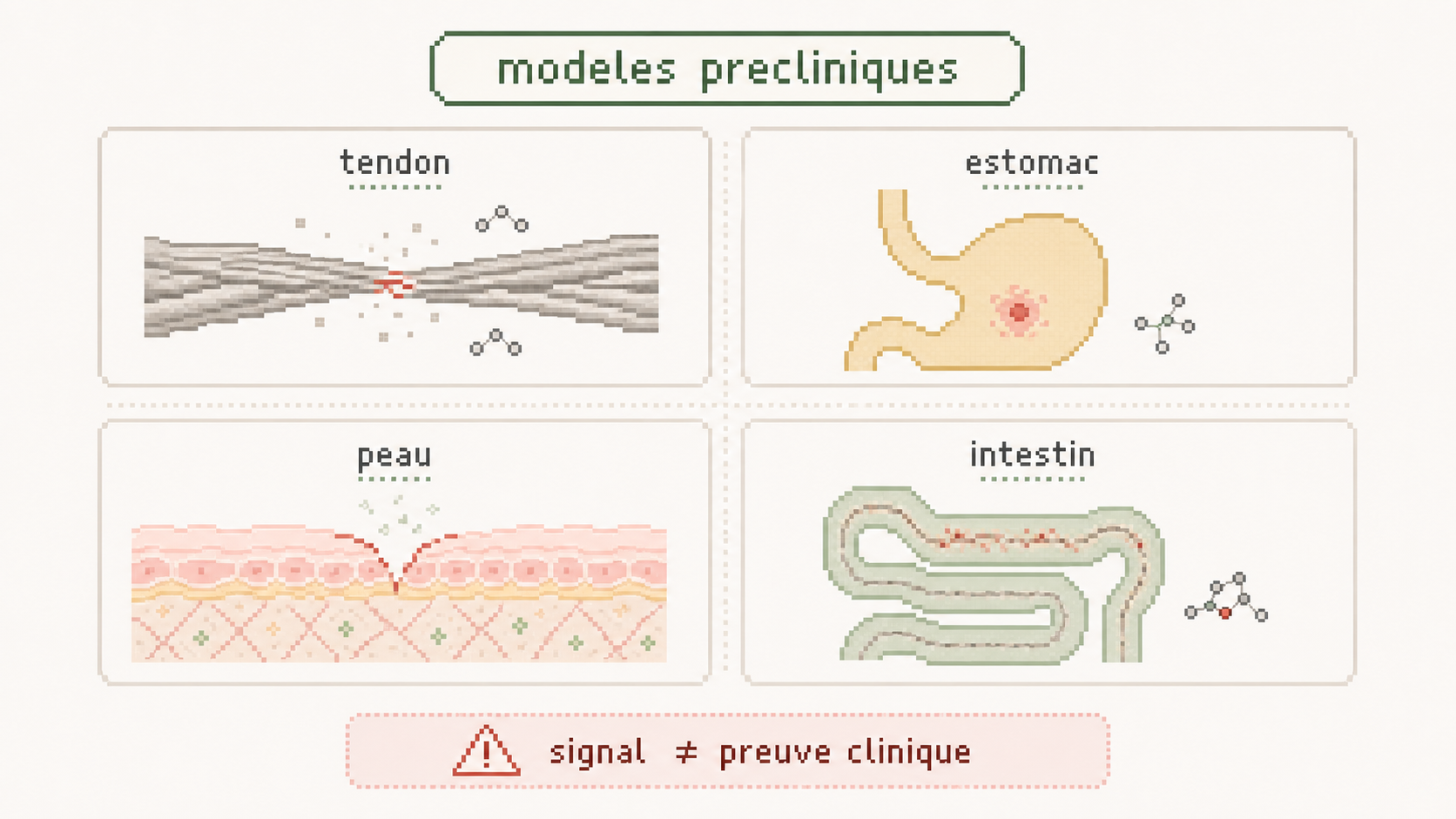 Matrice pixel art annotée des modèles précliniques BPC-157 pour tendon, estomac, peau et intestin.