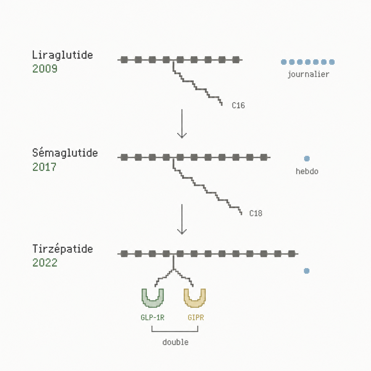 Frise pixel art reliant liraglutide, sémaglutide et tirzépatide par génération et fréquence.