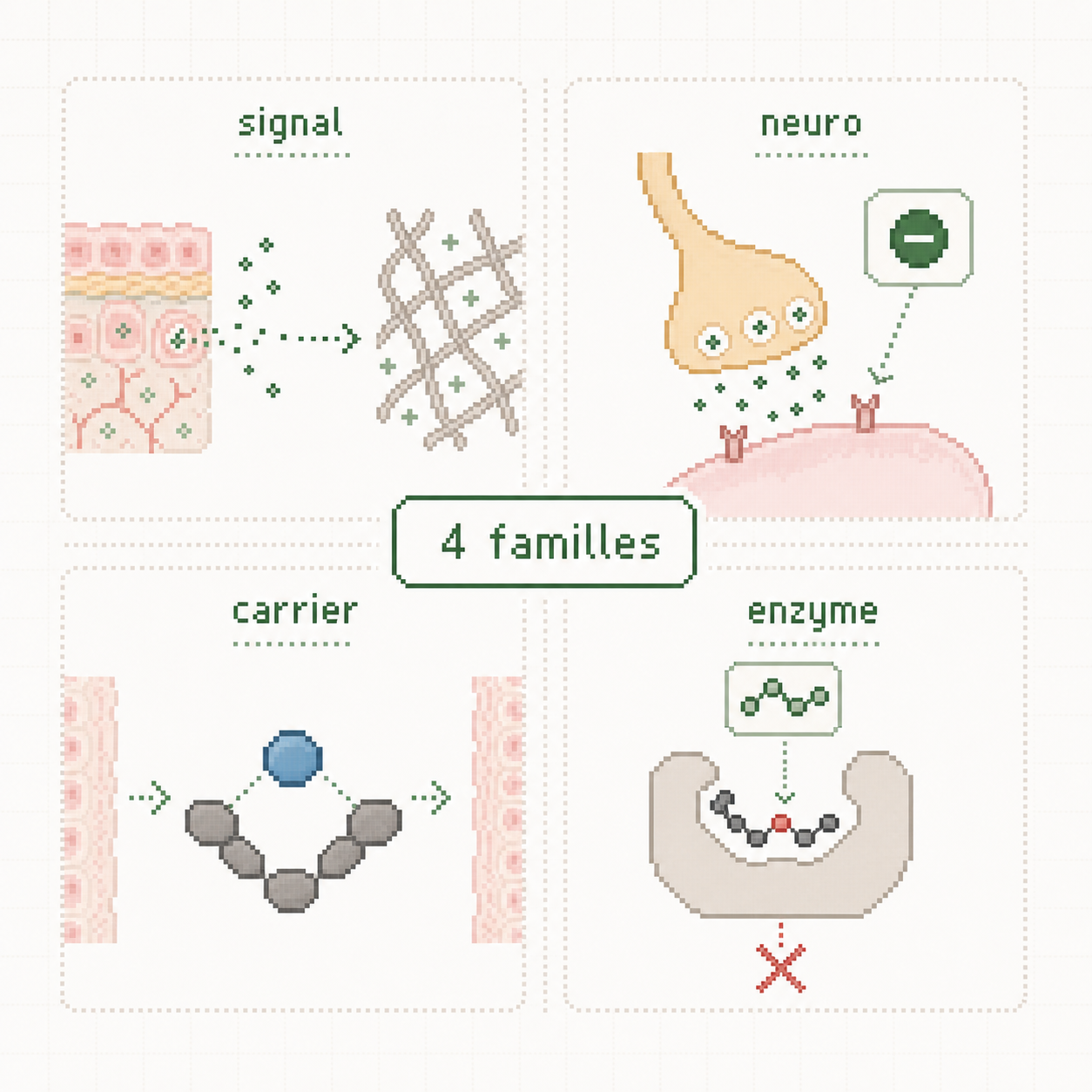 Schema pixel art en quatre quadrants presentant les familles de peptides cosmetiques: signal, neuro, carrier et enzyme.