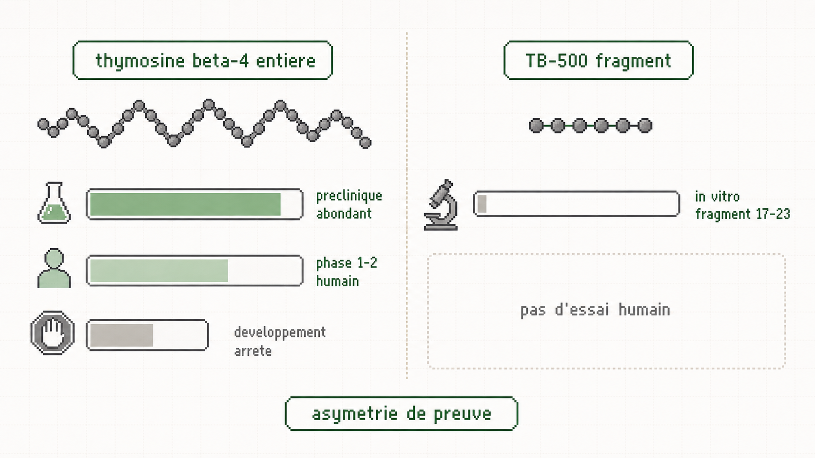 Schema comparant le niveau de preuve de la thymosine beta-4 entiere et du fragment commercial TB-500.